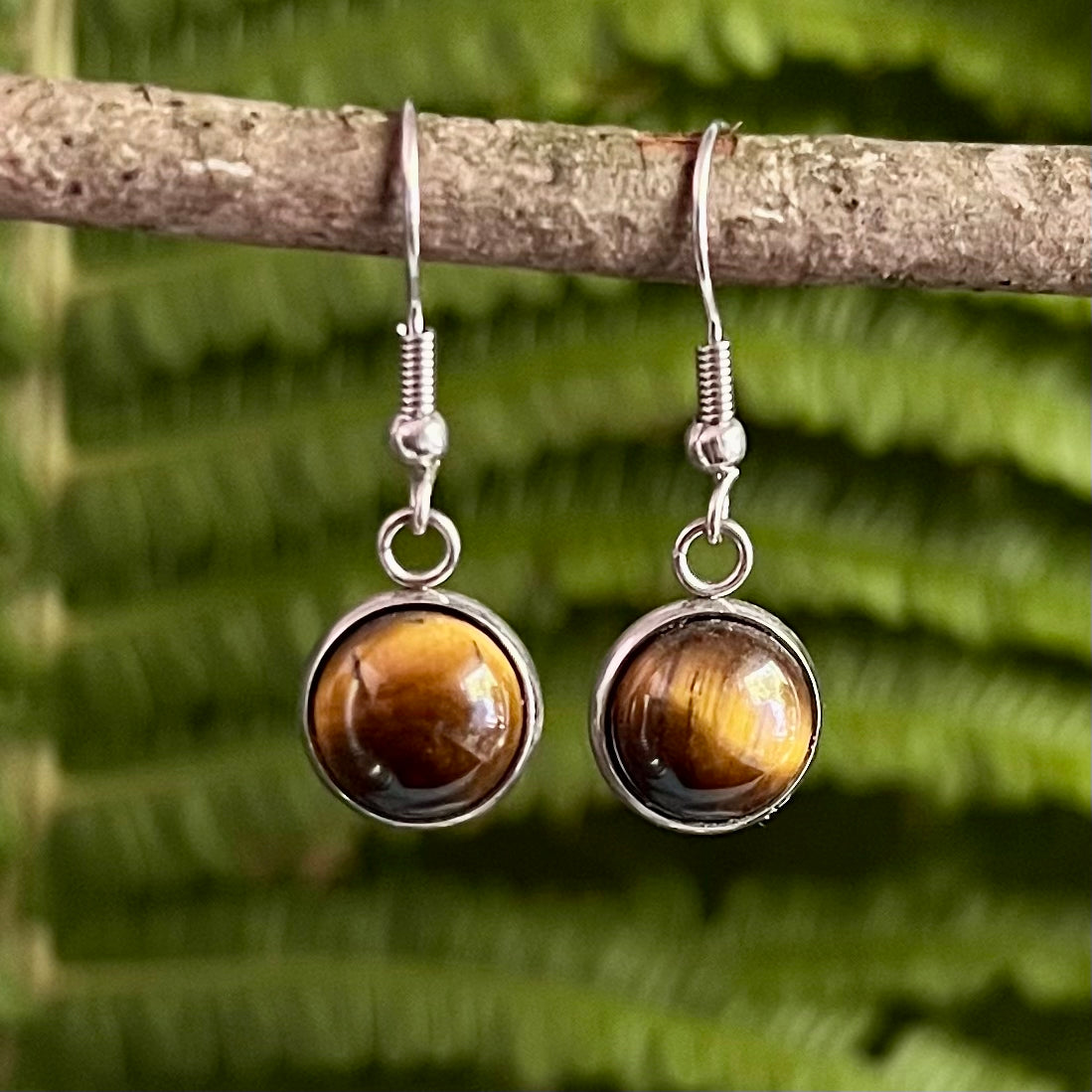 Steel earrings with tiger's eye