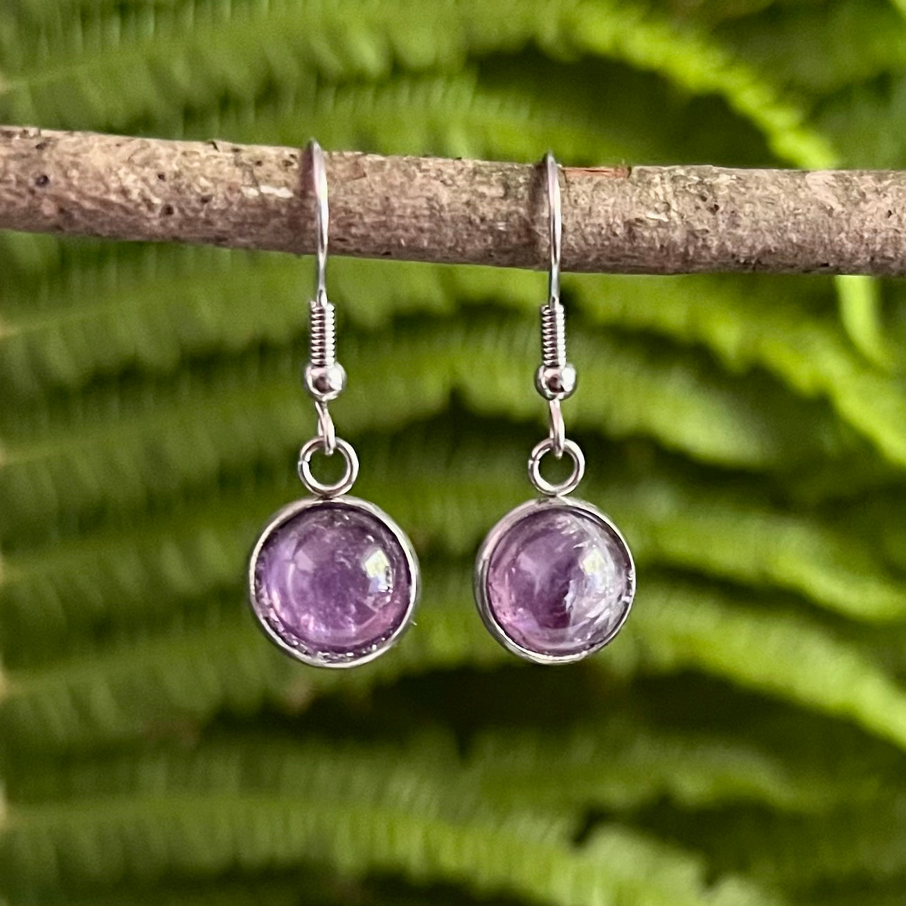 Steel earrings with amethyst