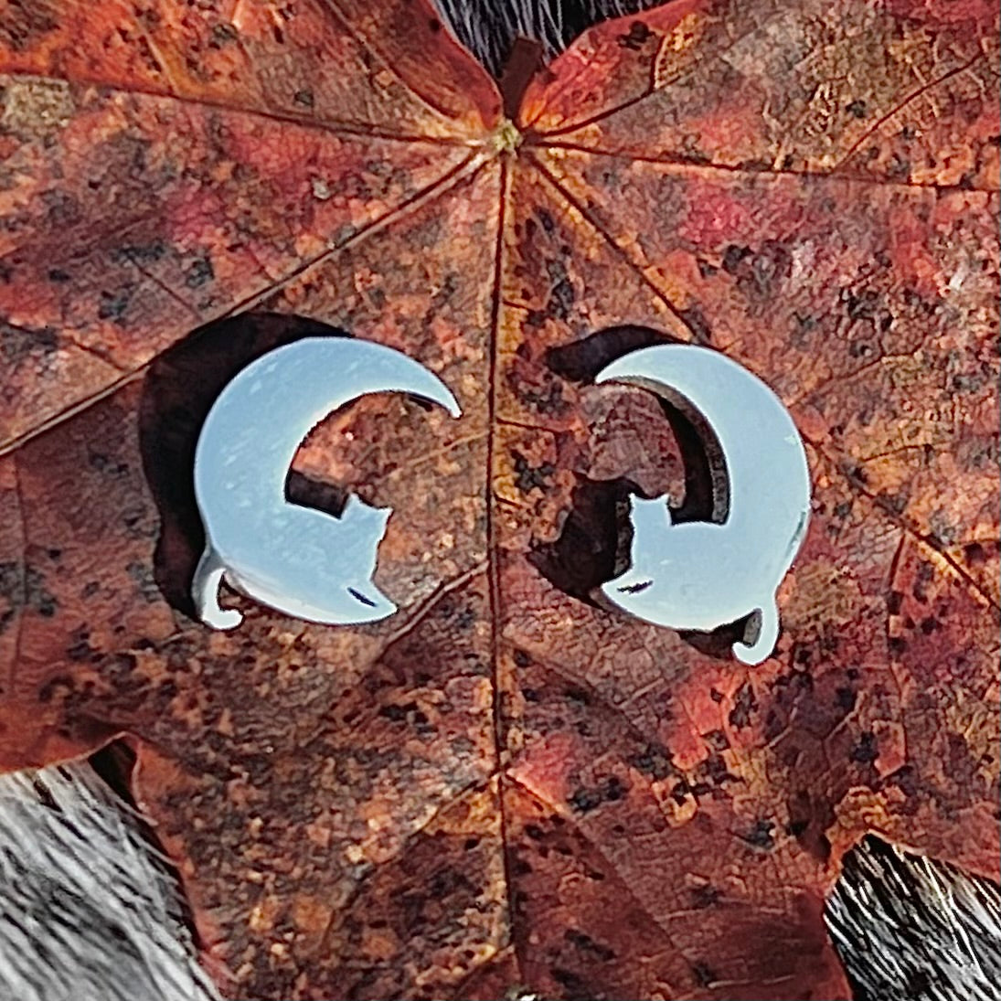 Stainless steel cat crescent moon stud earrings