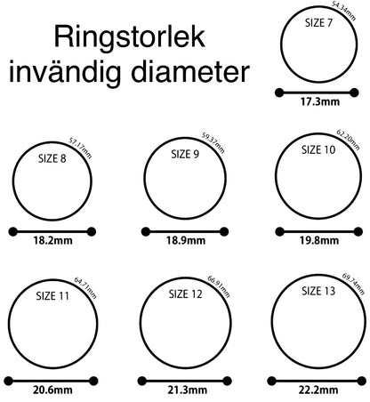 Ring - Korpar och Vegvisir i etsat stål