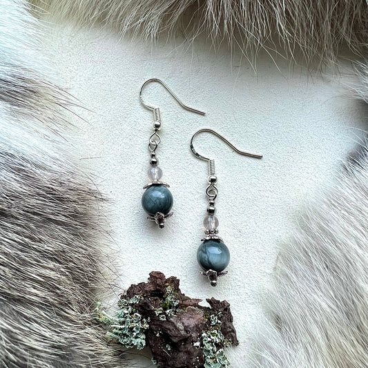 Earrings with hawk eye and silver