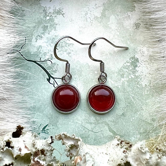 Kristallörhängen i stål med karneol