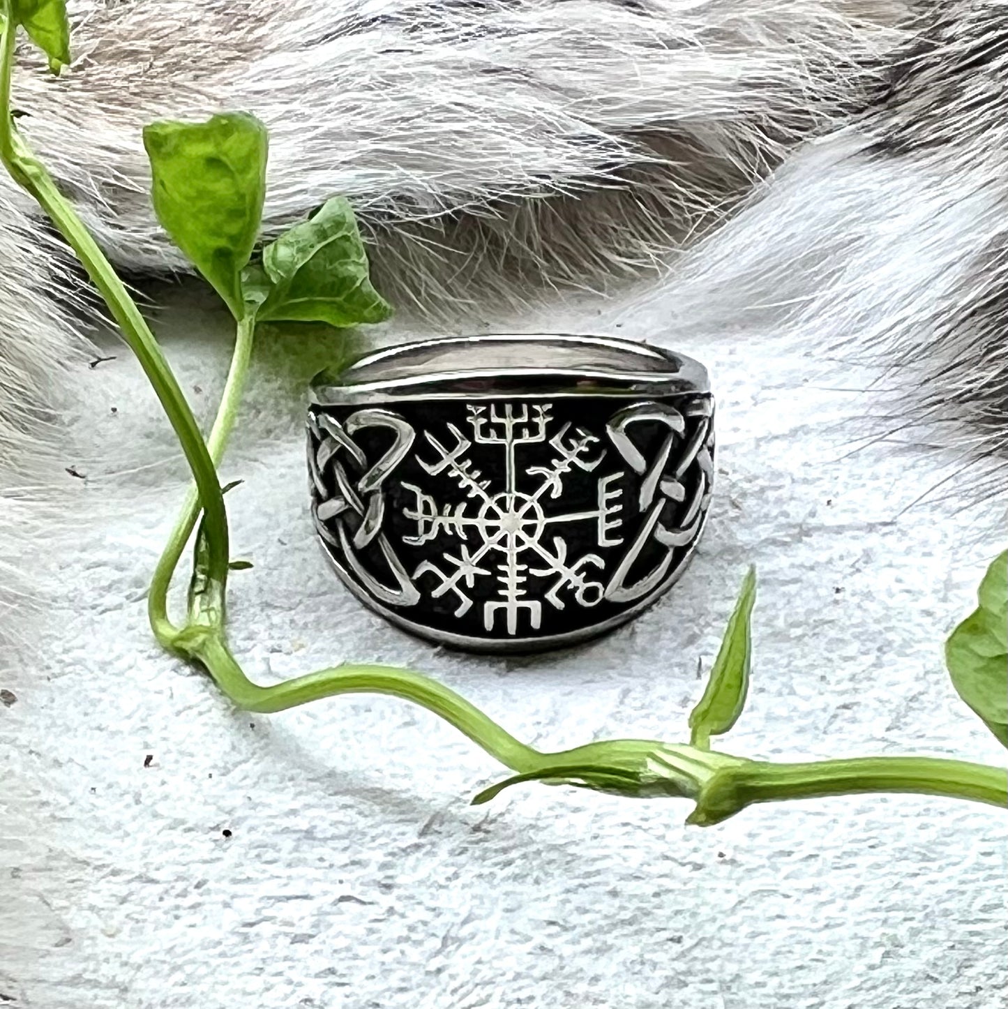 Ring med Vegvisir i rostfritt stål